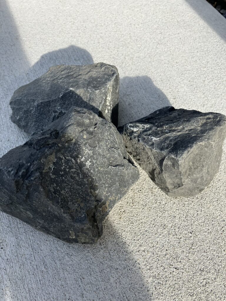 10cm前後の石